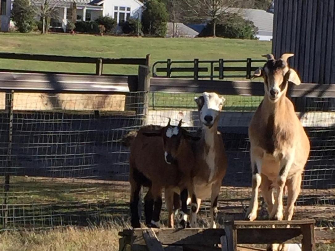 The Farmhouse Inn Buckhead Buitenkant foto